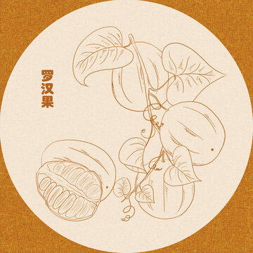 羅漢果金色線(xiàn)稿