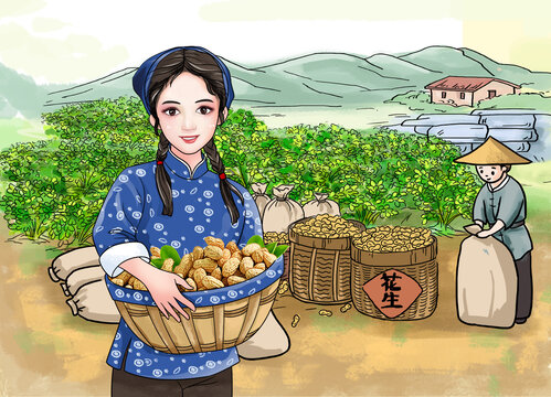 農(nóng)家女孩抱花生插畫(huà)秋收花生