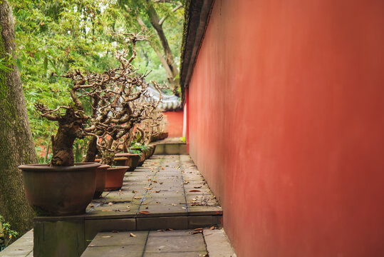 成都武侯祠