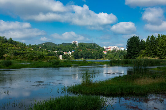 城市湿地