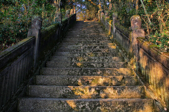 黄山戴震公园登山路