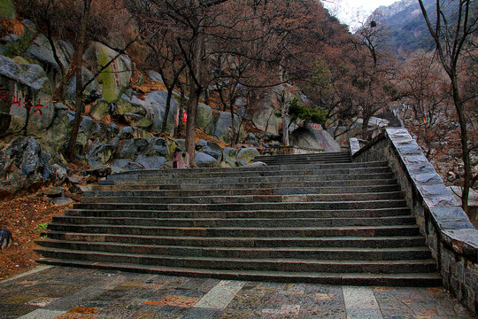 泰山登山路