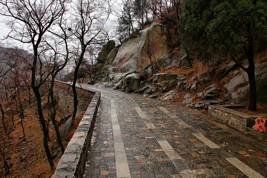 泰山登山路