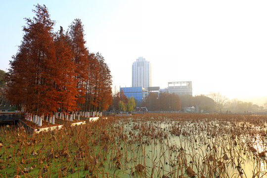 武汉琴台大剧院