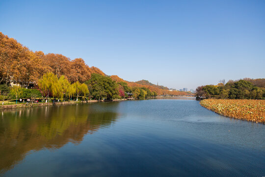 西湖风光