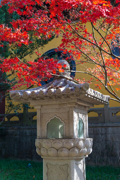 南屏山净慈寺