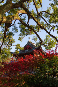 南屏山净慈寺