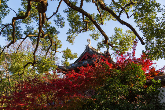 南屏山净慈寺