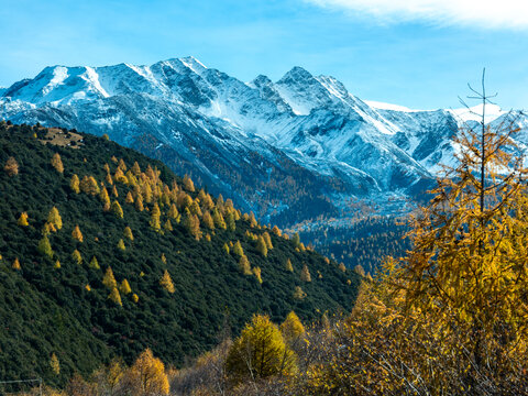 雅拉雪山风光