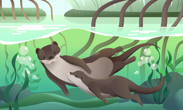 欧亚水獭亲子悠游于溪流中 保育类生物插图