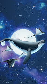 星空中翱翔的座头鲸与魔鬼鱼 梦幻手机壁纸