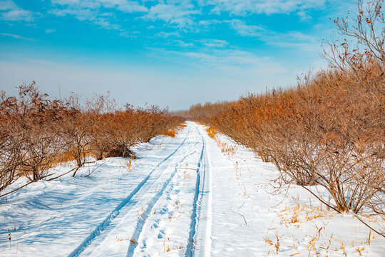 湖边路雪景