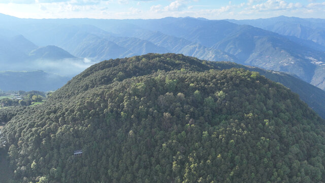 松山战役