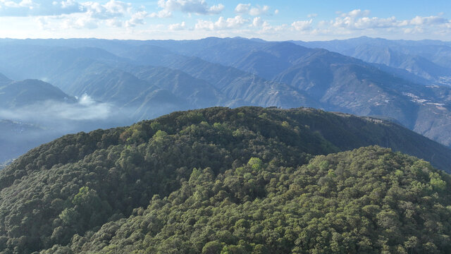 松山战役