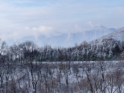 太行山雾雪