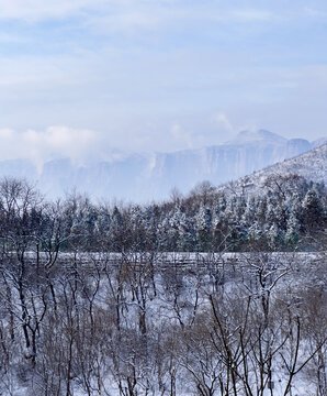 太行山雾雪