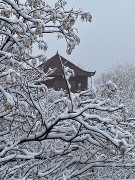 云台山红石峡雪景