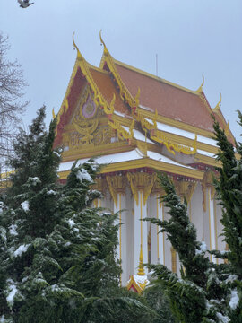 白马寺雪景