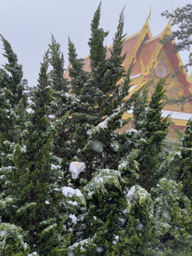 白马寺雪景