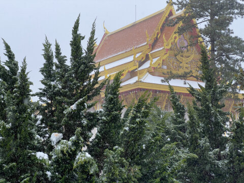 白马寺雪景