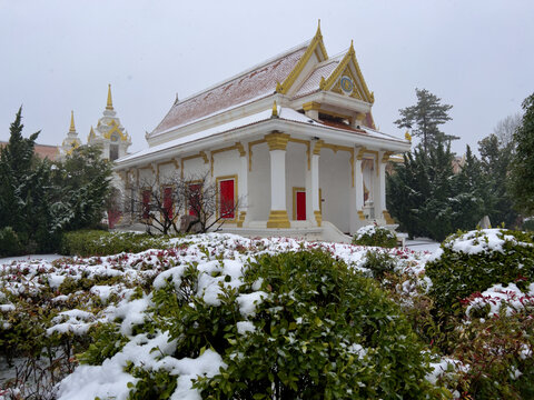 白马寺雪景