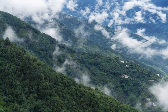 临沧凤庆茶山