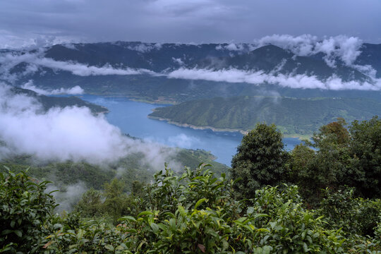 临沧凤庆茶山