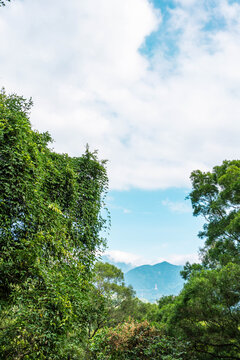 深圳弘法寺