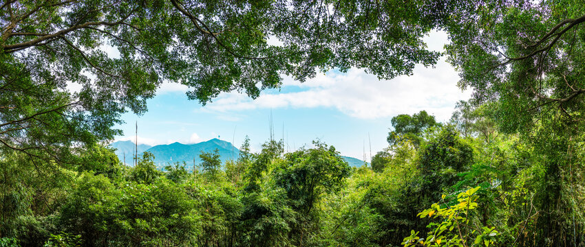 深圳淘金山绿道风景全景图