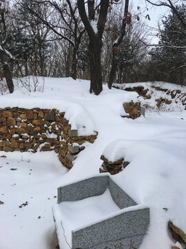 雪景