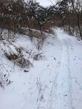 山林雪景