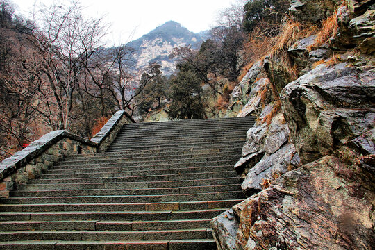 泰山登山石阶