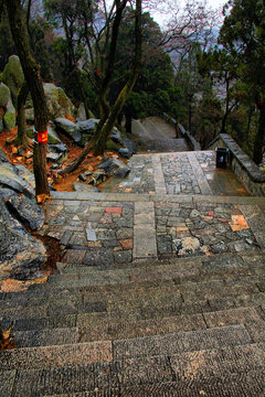 泰山登山石台阶