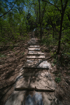 临清龙山公园