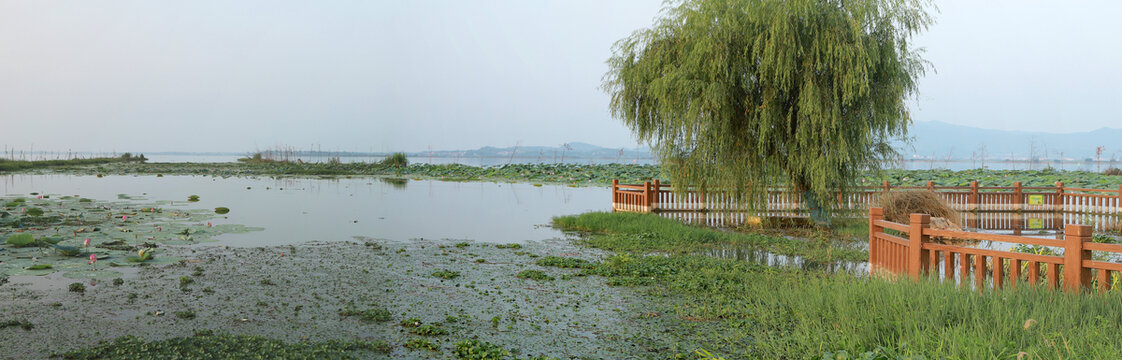 万秀湖全景