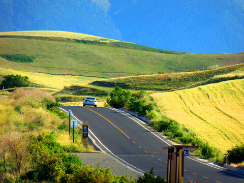 草原公路