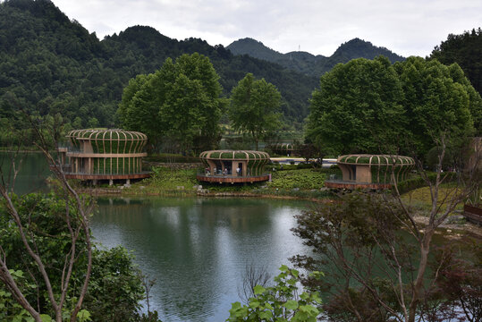 贵州绿博园