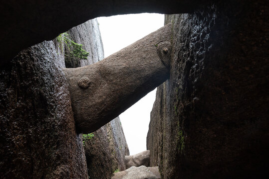 黄山山石