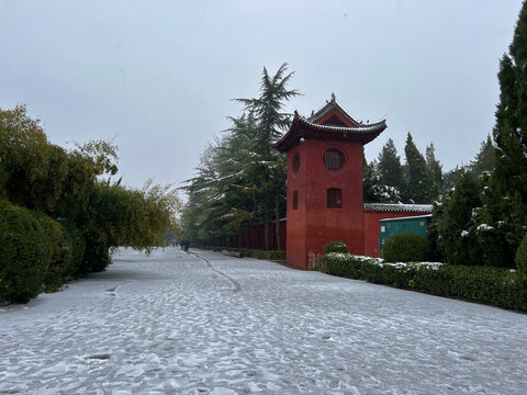 白马寺雪景