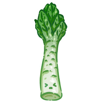 Q版蔬菜萵苣