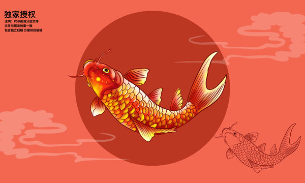 手繪鯉魚插畫
