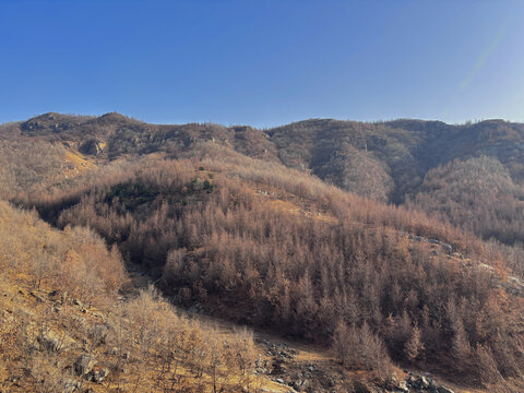 冬日山景