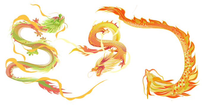 青龍金龍插畫合集