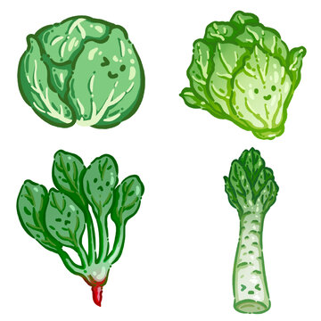 Q版蔬菜包菜生菜菠菜莴苣素材