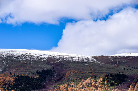 白马雪山