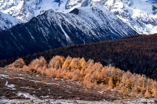 白马雪山