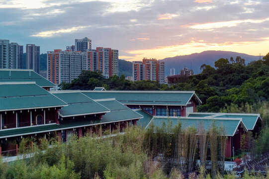 珠海科技学院校园一隅