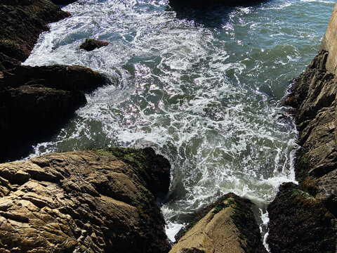 黄渤海分界线景区