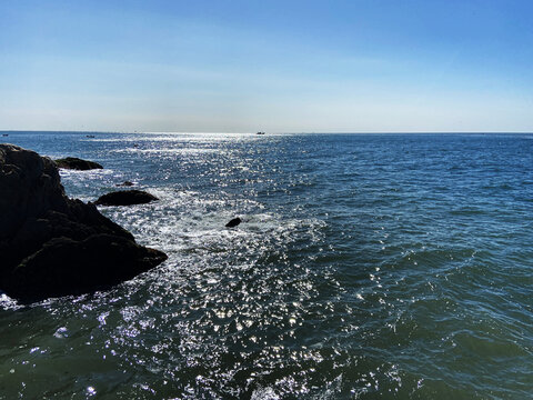 黄渤海分界线景区