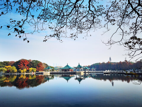 东湖梨园秋景